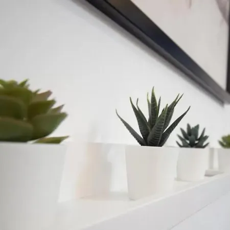 Lika ゲストハウス イスタンブール